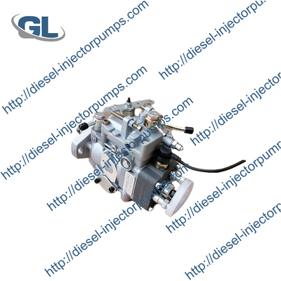 Pompe diesel d'injection de carburant des bons prix VE3/9F1500L376AG 0001060376 pour le générateur de KI-POR