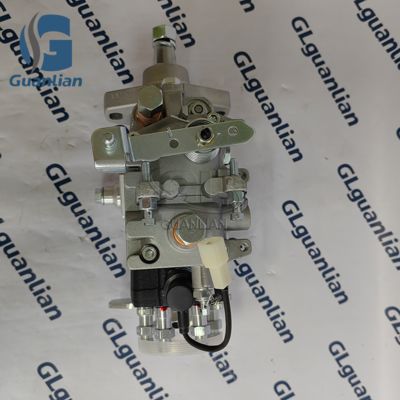 22100-1C190 Nouvelle pompe à carburant diesel 22100-1C190 VE6/10F1900RND264 196000-2640 pour moteur LAND CRUISER 1HZ