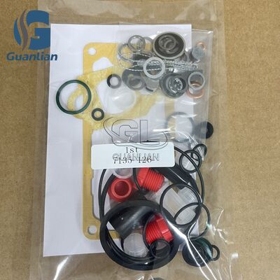 Nouveau kit de réparation de carburant diesel de haute qualité 7135-126 Kit de joints 31540 Kit de pompe à injection 7135126