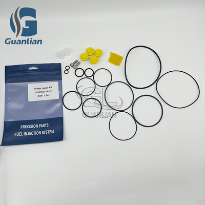 Kit de réparation de la pompe à carburant 891866-Cp5-2 pour la pompe à carburant Bosch Cp5 0445020126