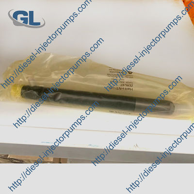 Diesel Fuel Injector EJBR04901D 28280600 pour TATA 278901160101